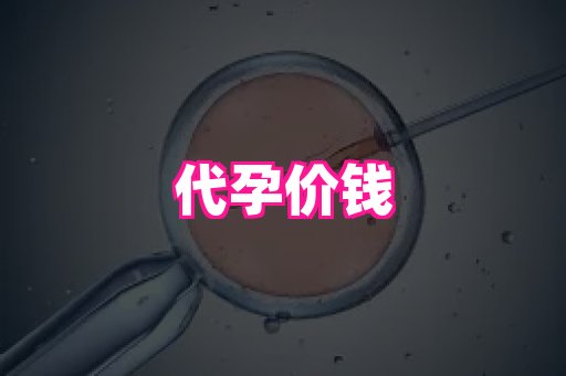 福建助孕网 2